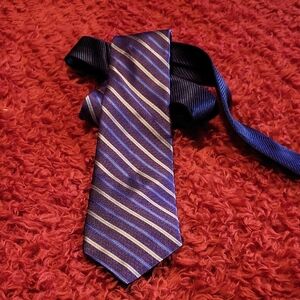 Elegant Striped Tie in Purple and Silver
